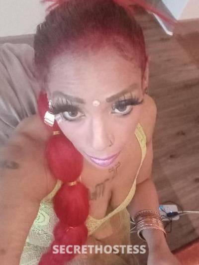 Sparkle/sara 38Yrs Old Escort Houston TX Image - 6