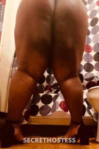 Sugar 25Yrs Old Escort Dayton OH Image - 3