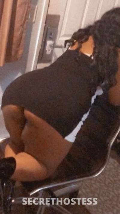 Yasmine 28Yrs Old Escort Columbia SC Image - 6