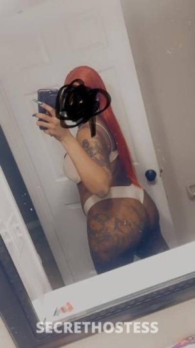 25Yrs Old Escort Orlando FL Image - 4