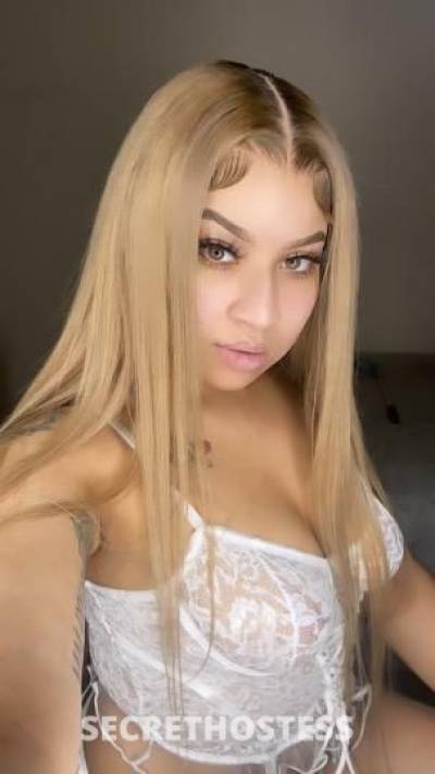 Ace 22Yrs Old Escort San Jose CA Image - 0