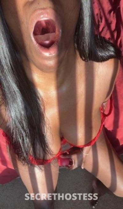 BROOK~LYNN 30Yrs Old Escort 170CM Tall Detroit MI Image - 0