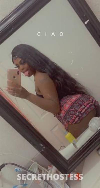 BabyDoll 20Yrs Old Escort Lake Charles LA Image - 2