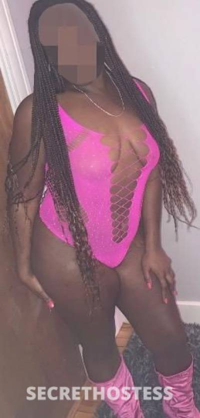 Bianca 26Yrs Old Escort Worcester MA Image - 6