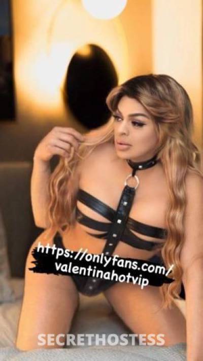 Camila 24Yrs Old Escort San Buenaventura CA Image - 0