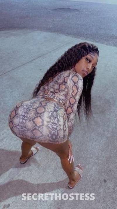 Chanel 26Yrs Old Escort North Mississippi MS Image - 2