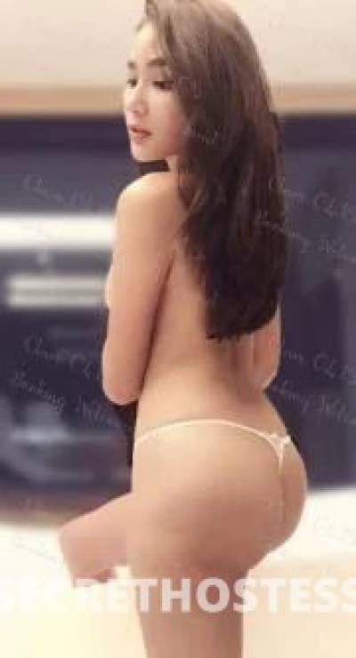 Clare 25Yrs Old Escort Maitland Image - 4