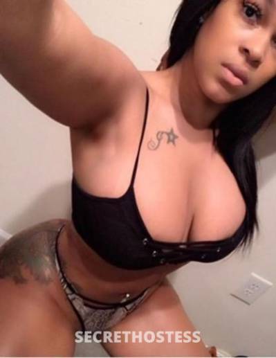 Gigi 25Yrs Old Escort Fort Lauderdale FL Image - 2