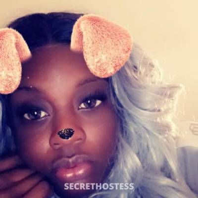 28 year old Escort in Miami FL Car date