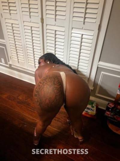 Shanell 23Yrs Old Escort Albany GA Image - 3