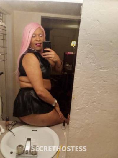 Yelladime 32Yrs Old Escort Phoenix AZ Image - 6