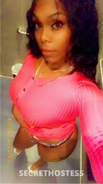 🍯HONEY 34Yrs Old Escort El Paso TX Image - 4