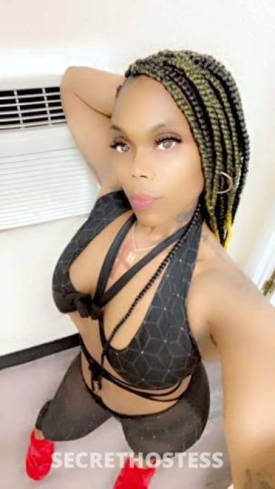 🍯HONEY 34Yrs Old Escort El Paso TX Image - 7