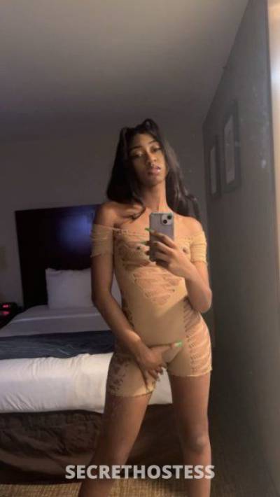 21Yrs Old Escort 167CM Tall Washington D.C. DC Image - 1