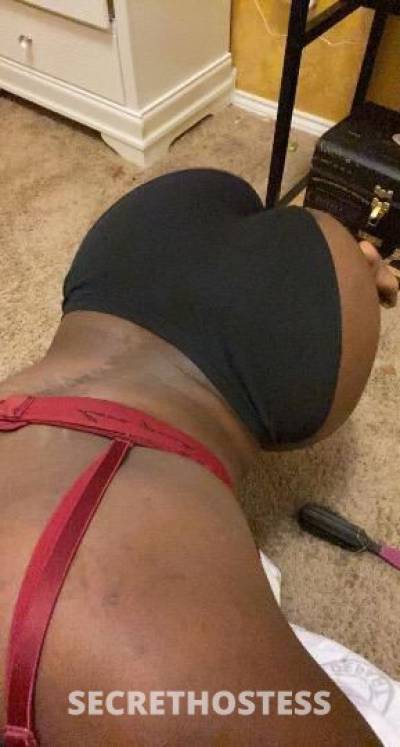 24Yrs Old Escort 160CM Tall Dallas TX Image - 2