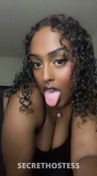 24Yrs Old Escort Minneapolis MN Image - 0