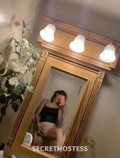 26Yrs Old Escort Allentown PA Image - 2