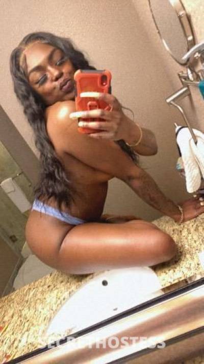 Alli 26Yrs Old Escort Rochester NY Image - 1