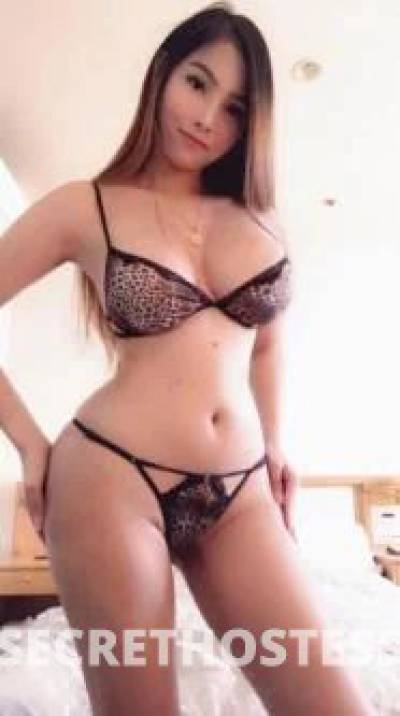 Anna 23Yrs Old Escort Sunshine Coast Image - 2