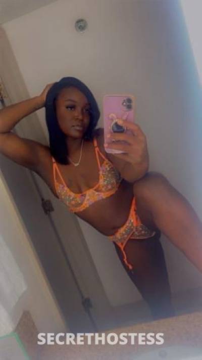 Bailey💦😻 26Yrs Old Escort Toledo OH Image - 3