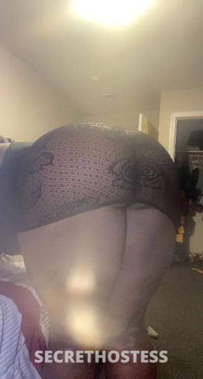 Coco 30Yrs Old Escort Staten Island NY Image - 1