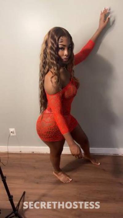 Foxy 23Yrs Old Escort Bronx NY Image - 2