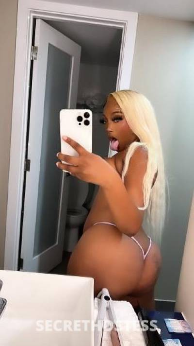 Honey🍯 23Yrs Old Escort Killeen TX Image - 8