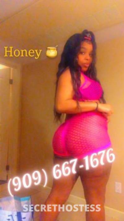 Honey 26Yrs Old Escort Dallas TX Image - 1