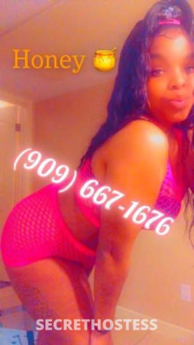 Honey 26Yrs Old Escort Dallas TX Image - 2