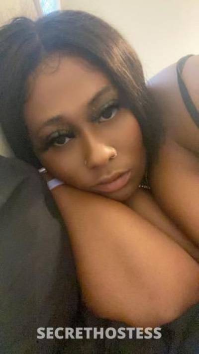 LUXURi 25Yrs Old Escort Dallas TX Image - 6