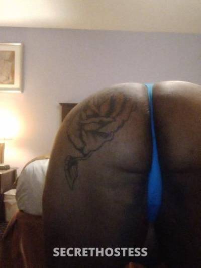 Mineie 26Yrs Old Escort Houston TX Image - 6