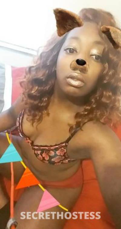 Puddles 25Yrs Old Escort Cleveland OH Image - 8