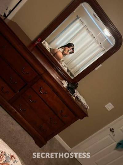 Salina 22Yrs Old Escort Tampa FL Image - 1