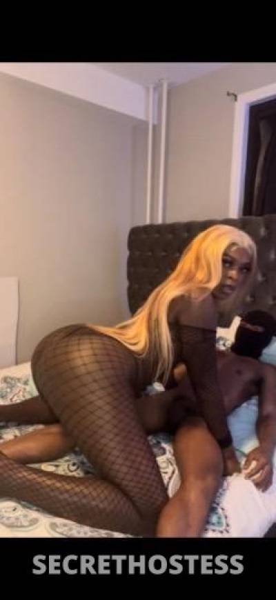 24 year old Escort in Nashville TN sasha