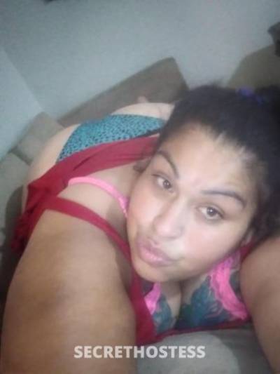 Shygirl 33Yrs Old Escort Corpus Christi TX Image - 0