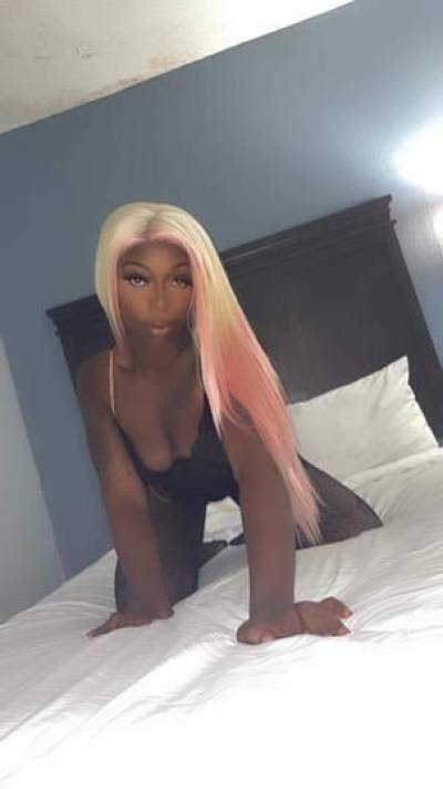 Stormy 23Yrs Old Escort Raleigh-Durham NC Image - 3