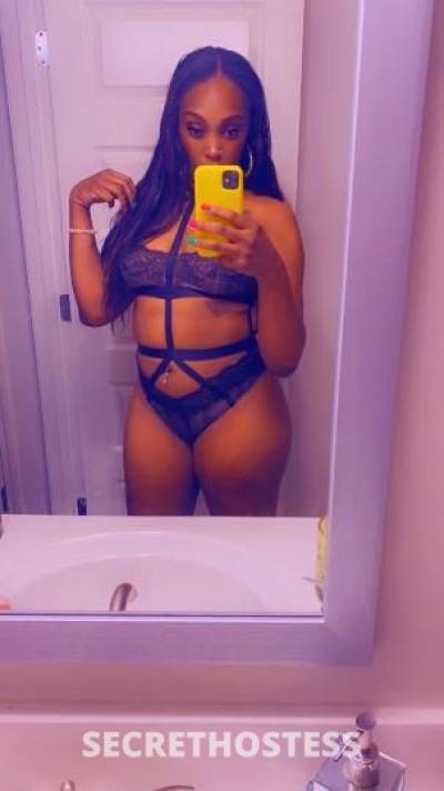 Vivi 26Yrs Old Escort Springfield MA Image - 2