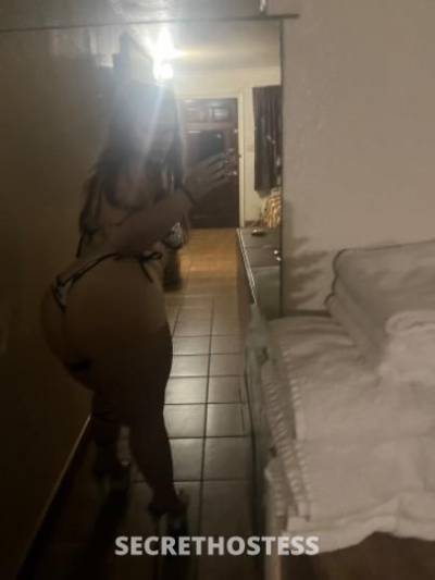 21Yrs Old Escort Los Angeles CA Image - 2