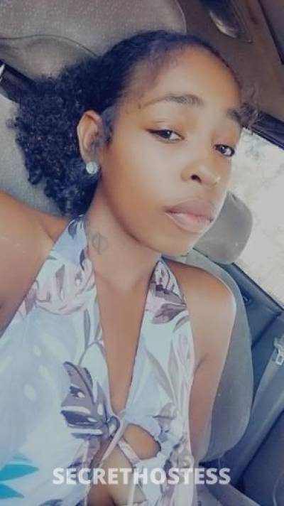 23 year old Escort in Los Angeles CA mixed head goddess salvadorian and black
