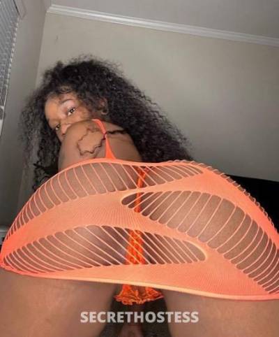 23 year old Escort in Los Angeles CA Slim sexy and thick