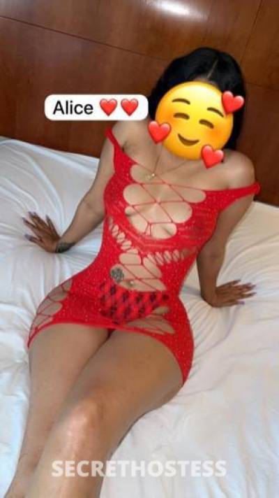 ALICE 24Yrs Old Escort Washington DC Image - 1