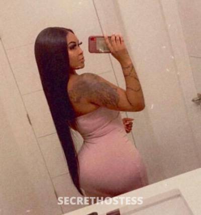 AVA 27Yrs Old Escort Washington DC Image - 1