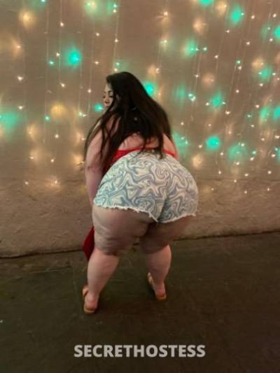 Alyssa 24Yrs Old Escort Colorado Springs CO Image - 1