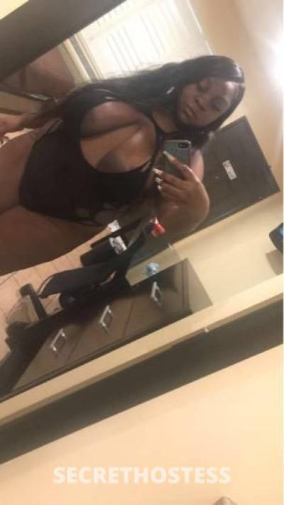 Amber 25Yrs Old Escort Concord CA Image - 0