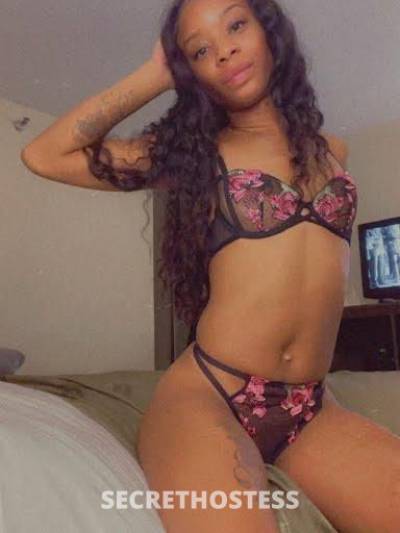 Ariel 24Yrs Old Escort Treasure Coast FL Image - 1