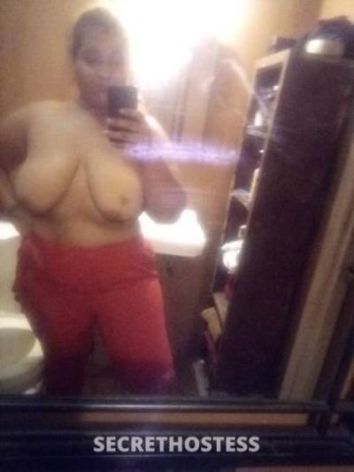 BBWBUNNIE 25Yrs Old Escort Chambana IL Image - 2