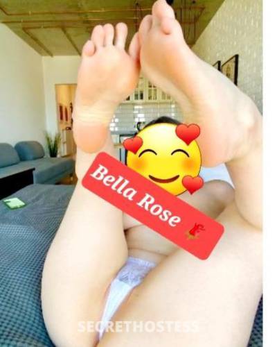 BellaRose 26Yrs Old Escort 165CM Tall Brockton MA Image - 11