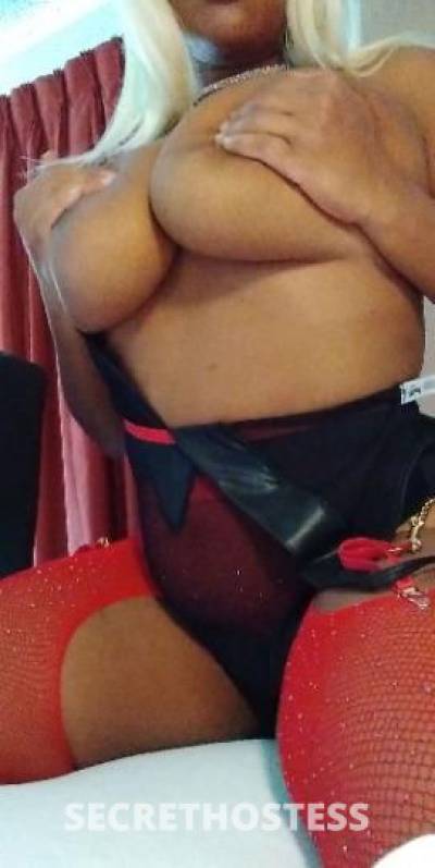 BluRose 22Yrs Old Escort Ocala FL Image - 0