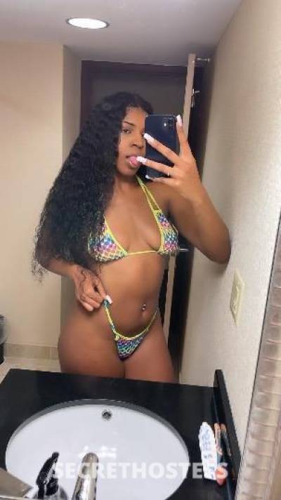 Chanel 24Yrs Old Escort Boston MA Image - 5