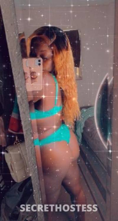 Coco 24Yrs Old Escort Bradenton FL Image - 0